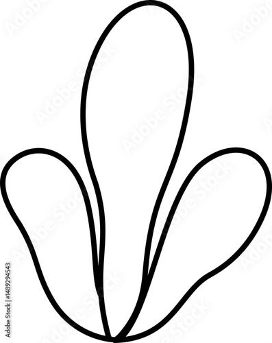 Sea Plants Outline Coloring