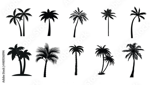 set of palm trees, palm tree silhouette vector