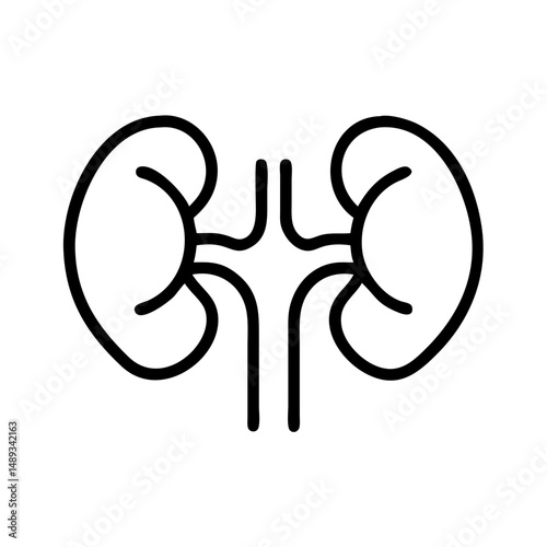 Outline of kidneys in minimalist style for Medical Vector Icons  