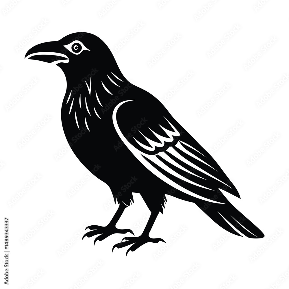 Fototapeta premium crow isolated on white, crow vector illustration, petvector art, crow silhouette, animal vector icon, crow line art, eps