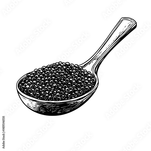 Professional Hand Drawn Sketch of Caviar on Spoon on White Background for Culinary Design Projects