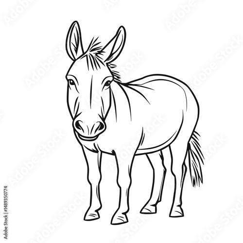 Line drawing of a donkey standing calmly against a plain background  