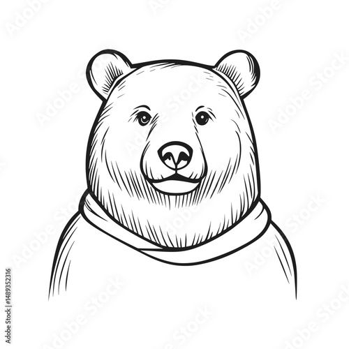 Bear wearing a sweater in a minimalist line drawing style   photo
