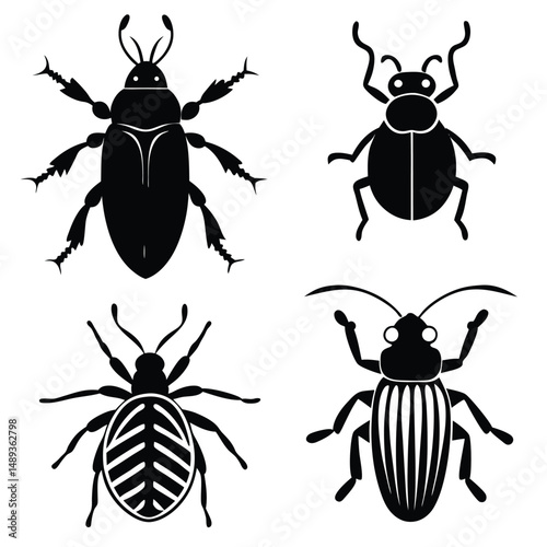 different bugs set insects summer species color