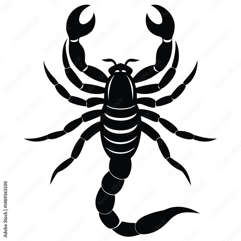 Fototapeta premium emperor scorpion pandinus imperator year old