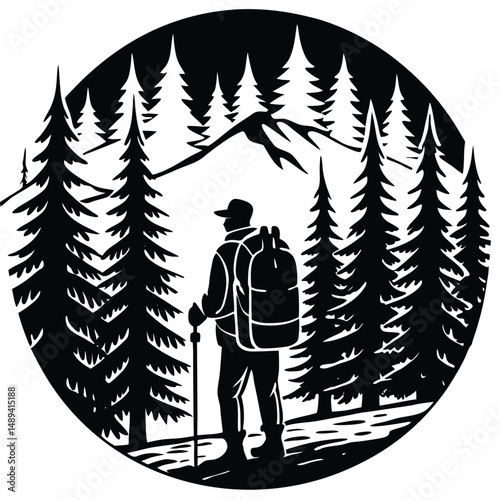 Lone Hiker Exploring Serene Pine Forest Landscape
