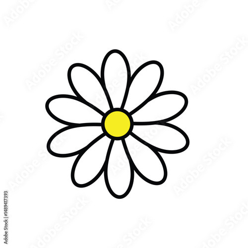 daisy flower vector