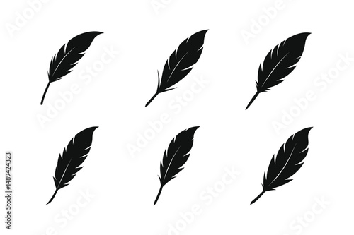Bird feather silhouette  vector bundle  illustration, Set of bird feather silhouette 