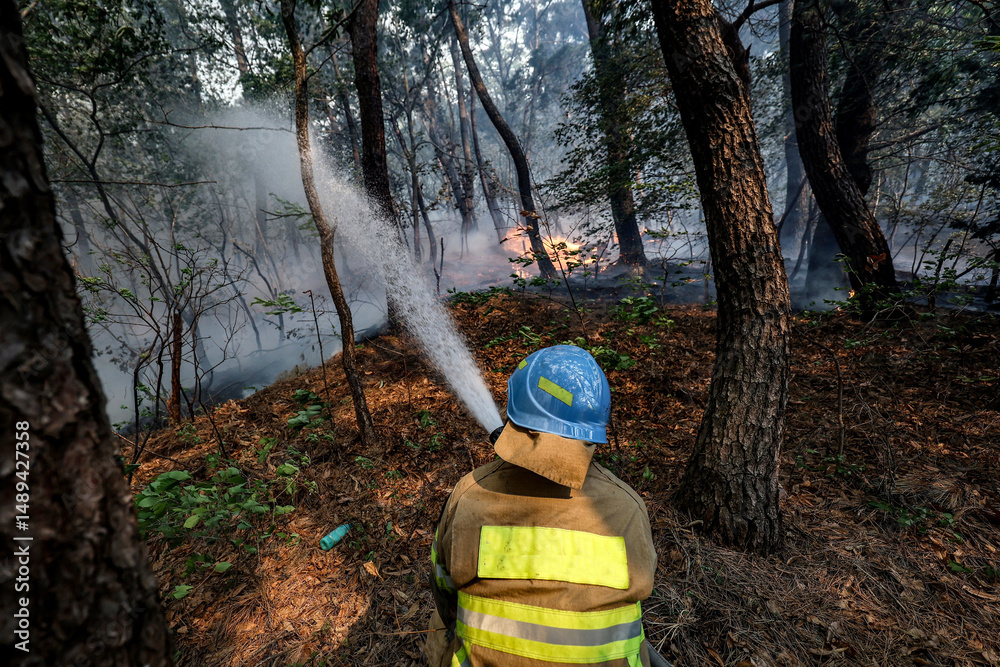 Firefighter Fights Wildfire in Daegu, South Korea Firefighter Fights Wildfire in Daegu, South Korea