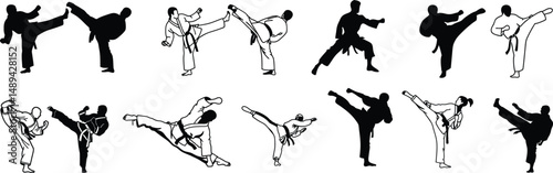 karate silhouette, martial athletes vector, martial art silhouette vector.