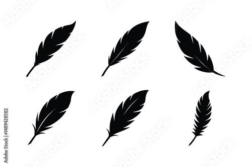 Bird feather silhouette  vector bundle  illustration, Set of bird feather silhouette 