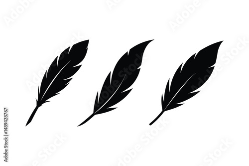 Bird feather silhouette  vector bundle  illustration, Set of bird feather silhouette 