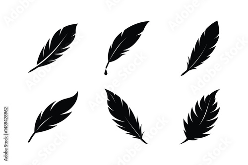Bird feather silhouette  vector bundle  illustration, Set of bird feather silhouette 