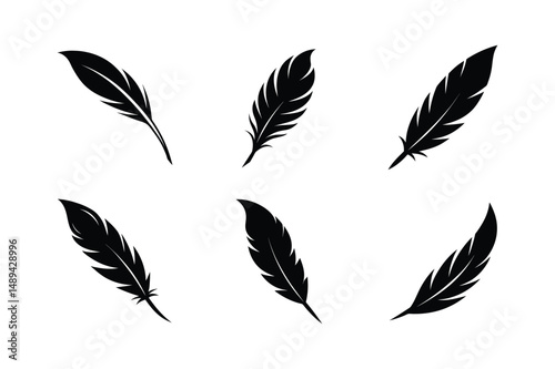Bird feather silhouette  vector bundle  illustration, Set of bird feather silhouette 