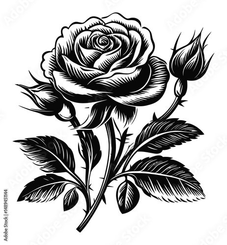 Elegant Black and White Engraving of a Rose with Buds and Leaves