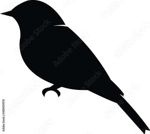 Small Bird Silhouette Perched on Branch Vector Isolated on White Background