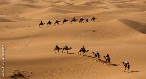 A Caravan of Camels Journeys Across the Expansive Sahara Desert Under the Warm Desert Sun