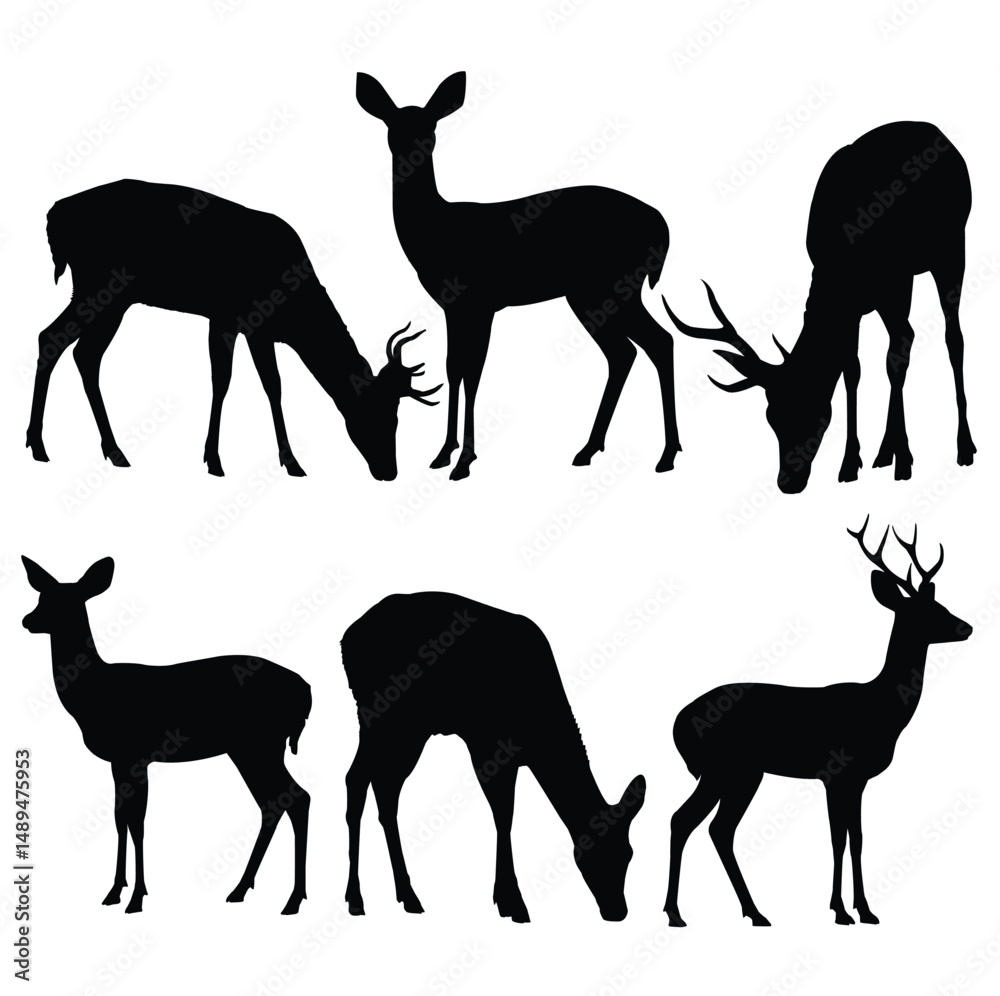 Fototapeta premium Silhouettes of deers isolated on white