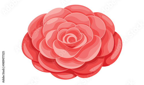 CoralColored Camellia Flower with Multiple Petals, Isolated on White Background, Detailed Illustration