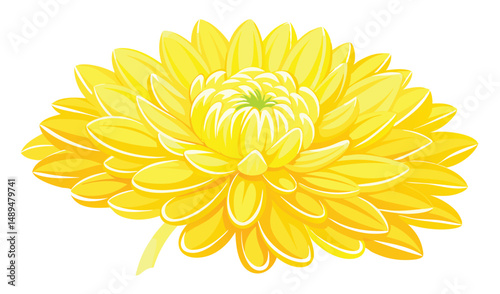 Illustration of a Vibrant Yellow Chrysanthemum Flower with Green Center on White Background