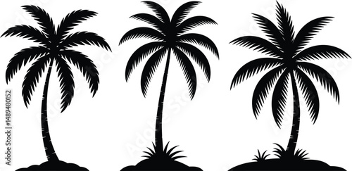 Three silhouettes of tropical palm trees