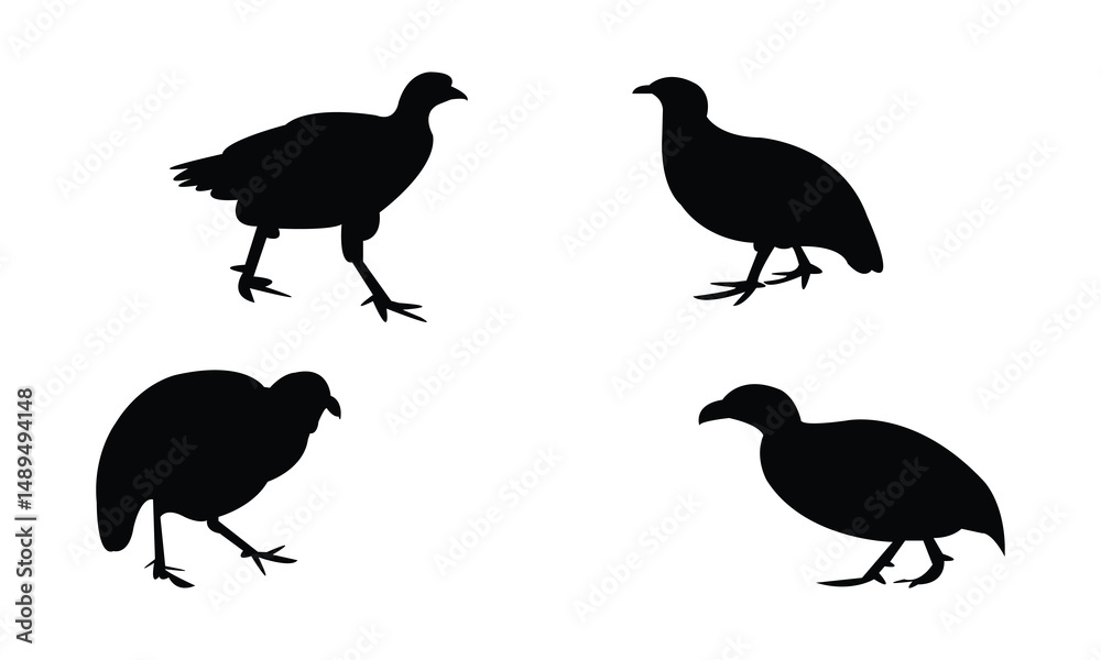 Fototapeta premium Ahanta spurfowl bird Silhouette Design And Vector Illustration. 