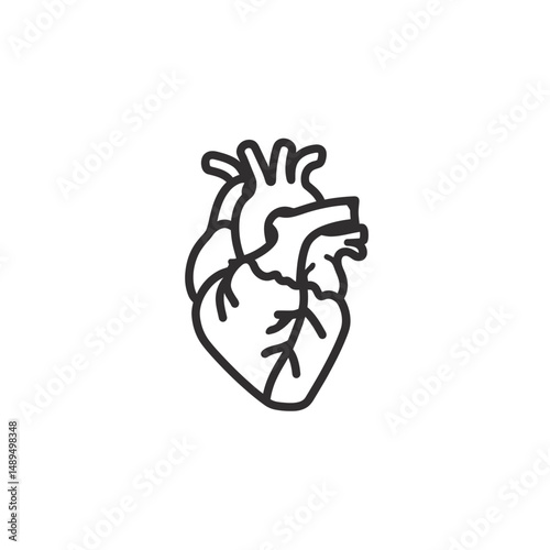 Anatomical heart drawing shows vessel structure on white canvas