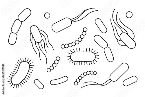Different Bacteria Forms and Structures Microscopic Organisms Set