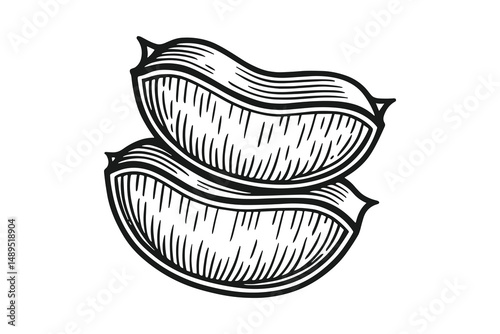 Stacked Citrus Segments: A Detailed Engraving Illustration of Fruit