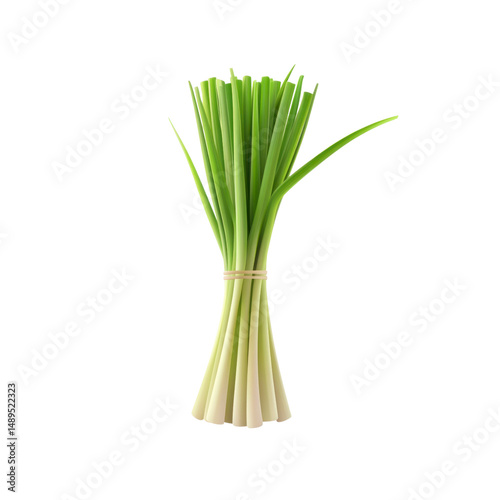 Wallpaper Mural Fresh Lemongrass Stalks Bundle Isolated on Black Background Torontodigital.ca