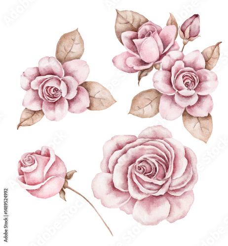 Hand-painted watercolor illustration of delicate pink roses with soft petals and green leaves. Isolated on white, perfect for greeting cards, invitations, packaging, and design projects.