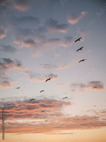 A sky with birds flying in different directions.