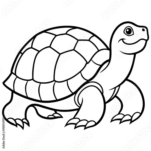 Tortoise Zen  Line Art Design