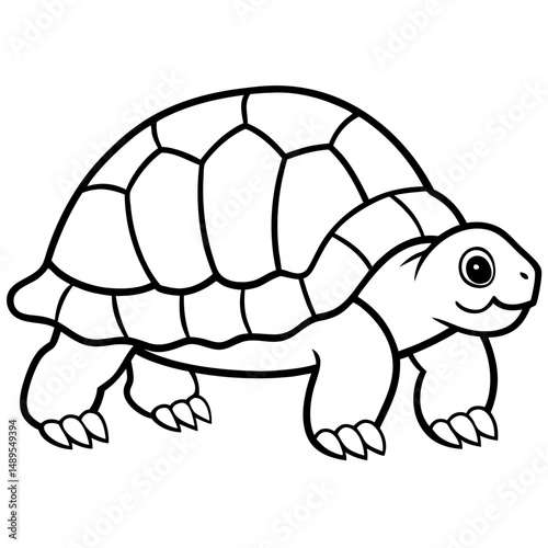 Tortoise Zen  Line Art Design