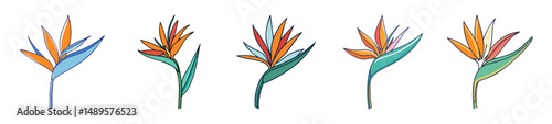 bird of paradise flower icon, bird of paradise flower line art - simple line art of bird of paradise flower, perfect for bird of paradise flower logos and icons
