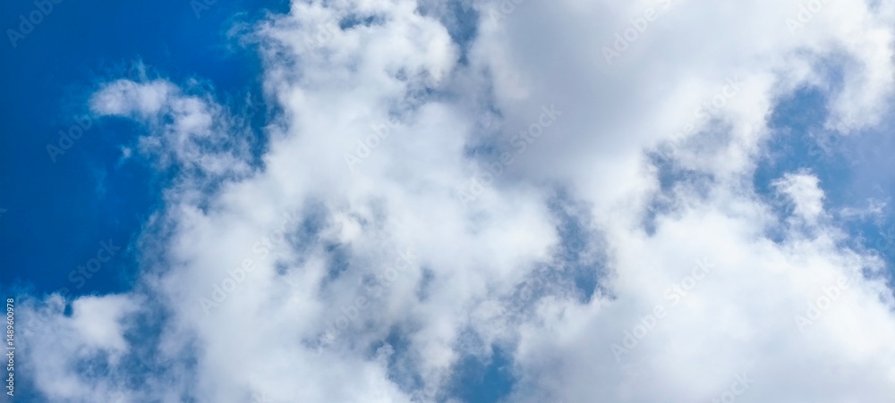 Fototapeta premium blue sky and clouds