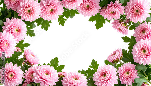 Pink chrysanthemums form vibrant floral frame with lush green leaves, creating cheerful and elegant border. flowers soft petals and vivid colors enhance natural beauty of arrangement