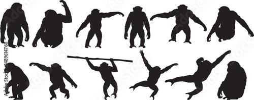 Chimpanzee silhouettes vector apes primates monkey wildlife animal jungle illustration graphic design art