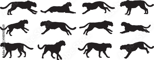 Black panther silhouette vector illustration set of different poses and movements for design resources photo