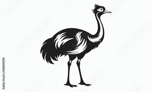 Emu bird silhouette, Emu vector illustration, Emu animal graphic, Emu shape outline, Emu profile art
