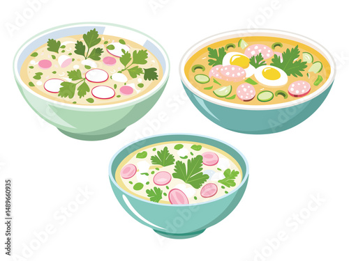 vector illustration of a russian food Okroshka (Cold Summer Soup Made with Kvass or Kefir, Vegetables, and Meat)