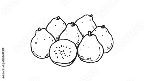 guava line art hand drawn style