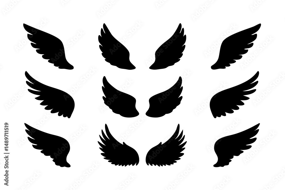 Obraz premium Wing silhouette vector illustration
