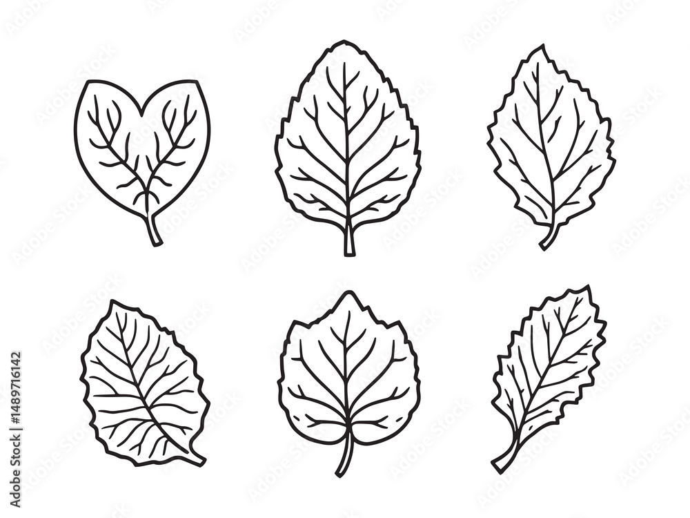 Obraz premium Begonia line art vector illustration