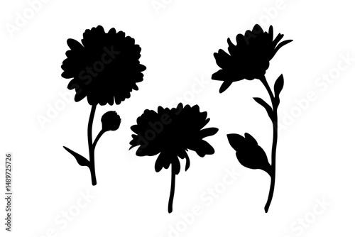 Black Aster Flower Minimalist Silhouette Vector Illustration