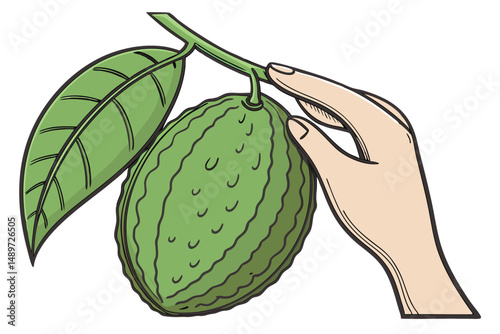 58 a vibrant, lush green fruit, a freshly picked lime, held in a human hand, with water droplets and a leaf, a close-up photograph, hyper-realistic, detailed, high resolution, 8k