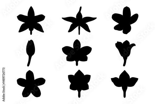 Black Jasmine Flower Minimalist Silhouette Vector Illustration