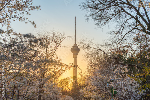 Cherry blossom scenery at China Central Television in Beijing, China