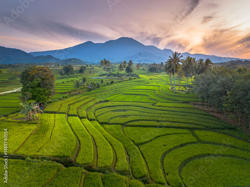 Beautiful morning view indonesia panorama landscape paddy fields with beauty color and sky natural light