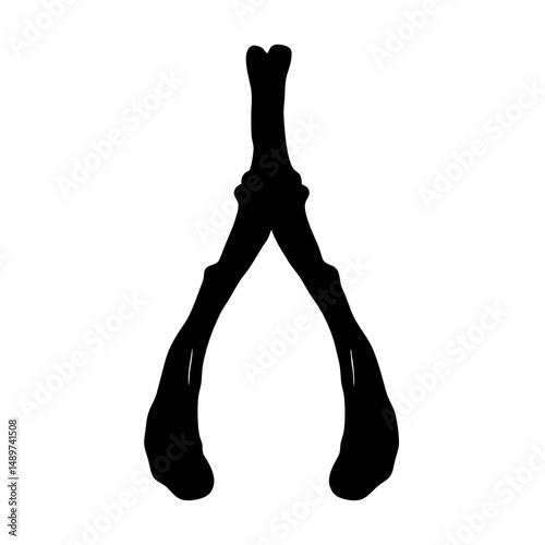 black wishbone silhouette icon isolated on white vector illustration